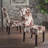 DINING CHAIR MP2  Set Of 2