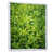 Cadre flottant blanc