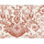 Avian Fountain Toile Wallpaper Roll-316777121