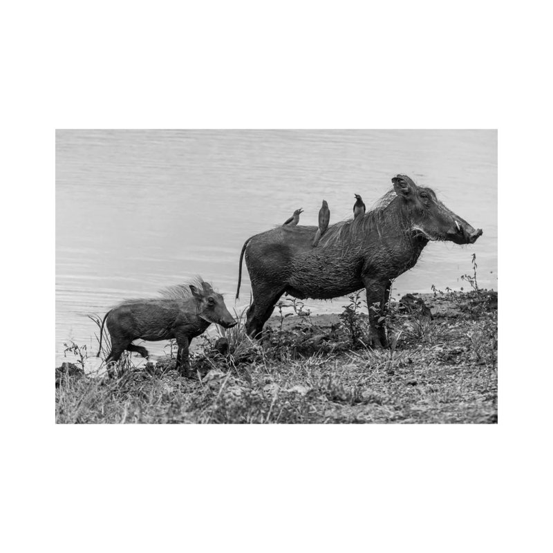 The Family by Anders Jorulf - Wrapped Canvas Print, 66.04 cm H x 45.72 cm W x 3.175 cm D