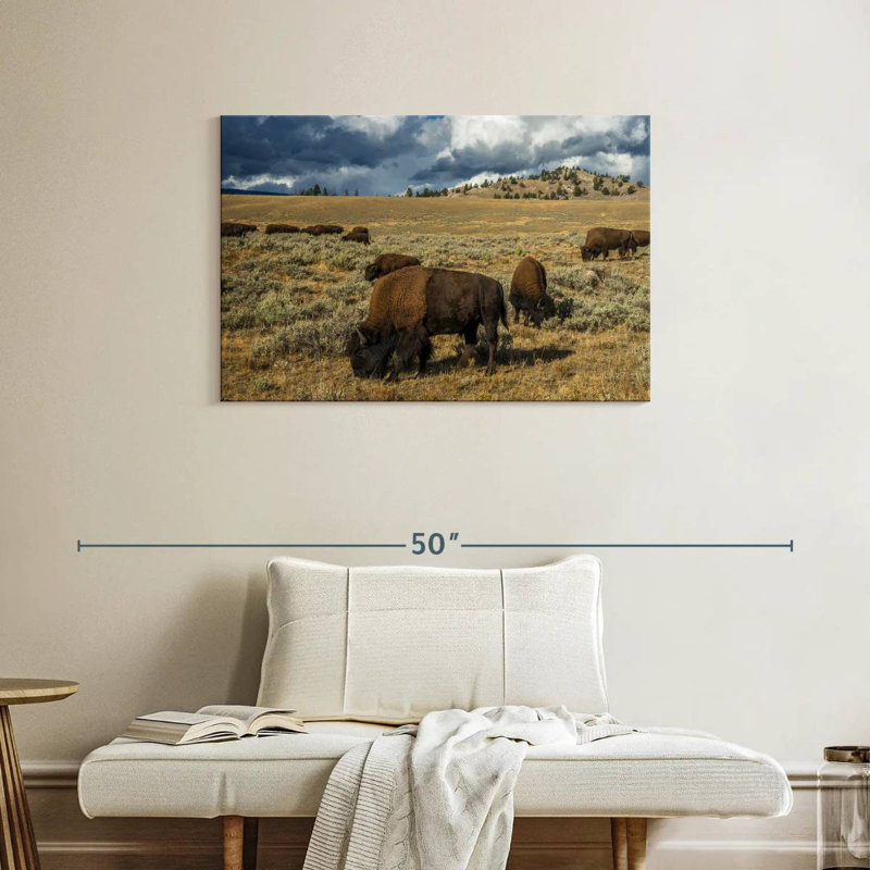 Bison Brampt Yellowstone, H 24 po x l 36 po