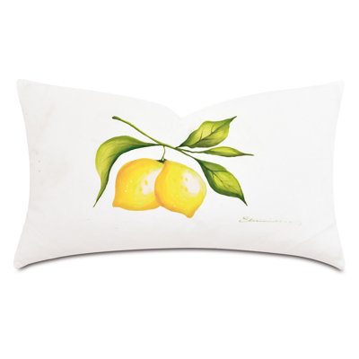 Meyer Lumbar Pillow Cover & Insert