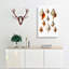 Selection Of Conch Shells by Albert I - Wrapped Canvas-55329460