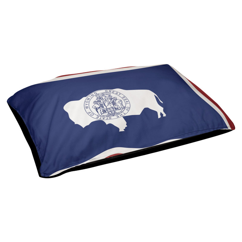 Coussin stylisé wyoming flag Burien, L 19,5 po x l 29,5 po, Noir