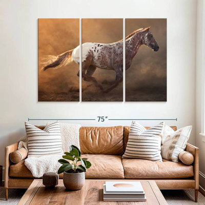 Cheval Bramalo Fast Appaloosa