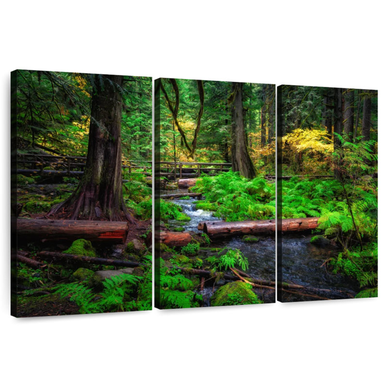 Ruisseau Alvord Willamette National Forest, H 24 po x l 38 po