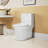 White Ceramic Toilet, 1.1/1.6 , 15.55 In Comfort Height, Soft Close Seat, And One Flush, White,