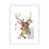 White Framed Paper