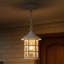 Freeport 1 Light Outdoor Hanging Lantern-1001128763-1001128767-1001128756