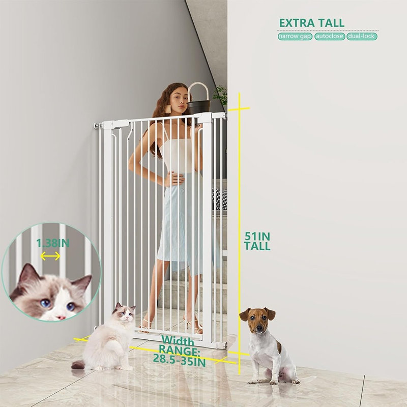 Steel Pet Gate