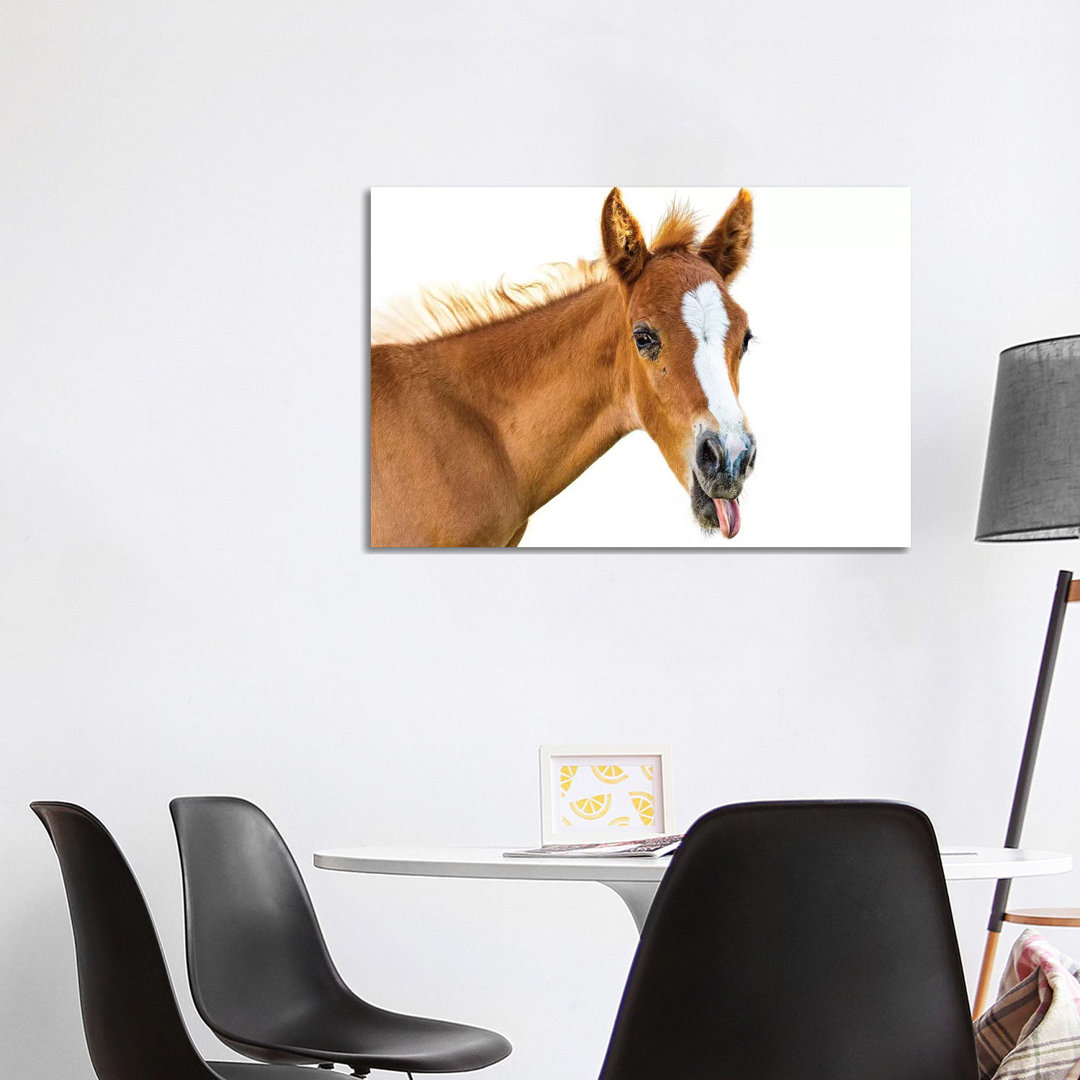 Funny Baby Horse Sticking Tongue Out by Susan Richey - Gallery-Wrapped Canvas Giclée on Canvas