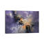 Lavender Storm by Christopher Lyter - Wrapped Canvas Gallery-Wrapped Canvas Giclée-2086218274