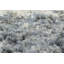 Tapis crème / gris Loretta-1066465112
