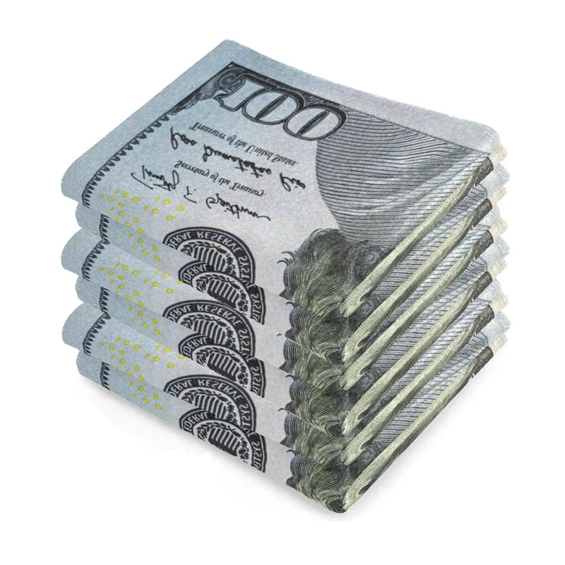 Aaravi 100 Dollar Bill Beach Towels | 100% Cotton Pool Towels 30"x60" (Set of 6)