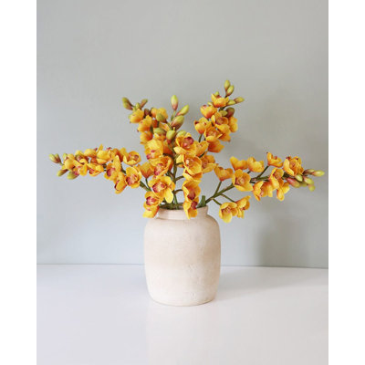 Cream Cymbidium Orchid 33"