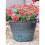 Sagamore Planter-35321490