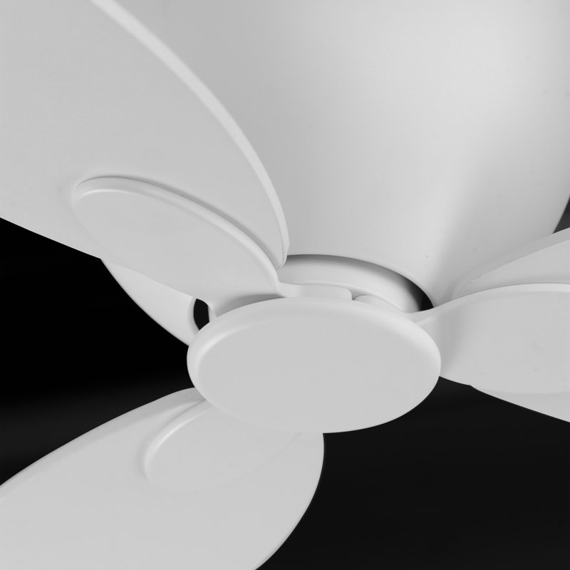 Ventilateur de plafond d'intérieur Budapest Lowell