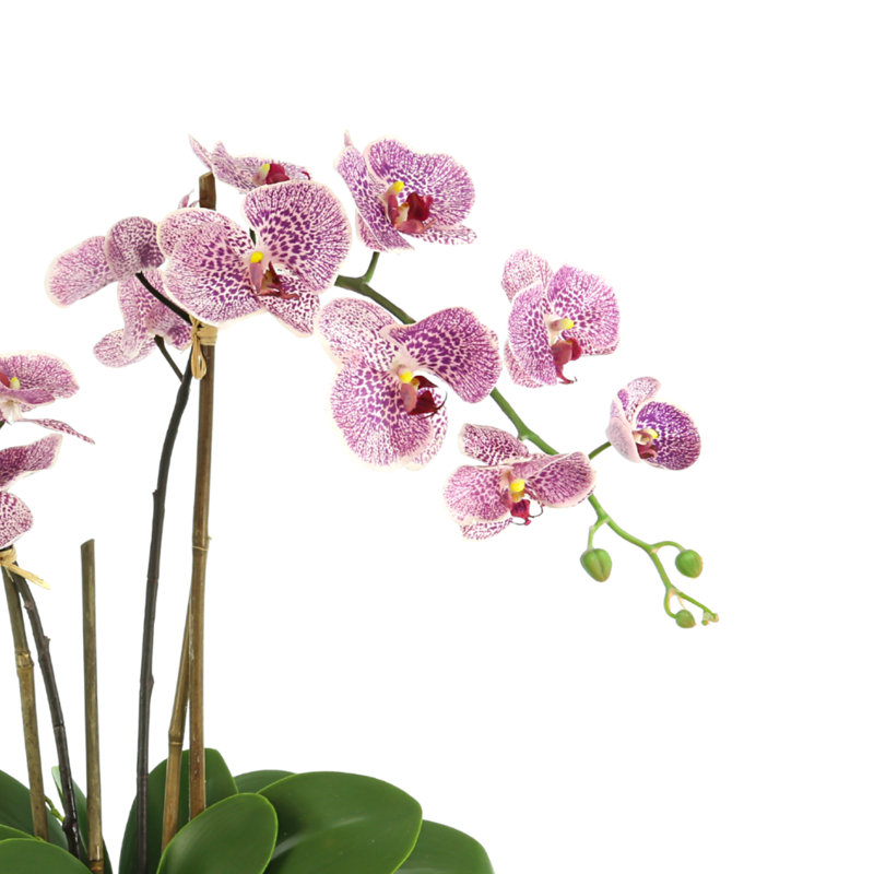Orchid Floral Arrangement In A Ceramic Pot With Rocks, Pink