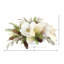 Arrangement Holiday Magnolia en pot de Fiberstone