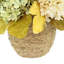 Arrangement d'automne avec hortensias et chardon dans un pot enveloppé de corde