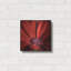 «Red Gerbera On Red 06» par Tom Quartermaine-1206293351