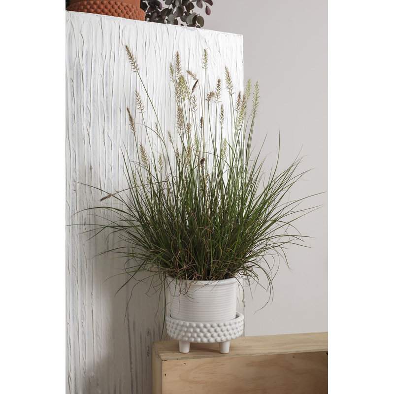 Pot à fleurs en céramique Hendrikka Jane, H 6 po x l 6,25 po x P 6,25 po, Blanc