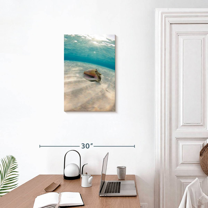 Aletra Underwater Seashell, 24" H x 16" W