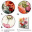 Illustration simple de Zinnia Bouquet II - Zinnias, art mural-298146189-471837987