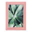Vert succulent tropical vert III-173666795-173666786
