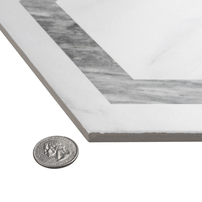 BioTech 11" x 13" Porcelain Marble Look Wall & Floor Tile, Gray/White