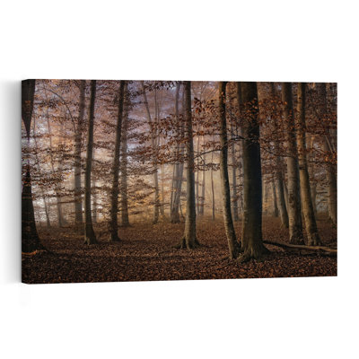Forêt d'automne brumeuse, tableau mural rustique et paisible représentant une forêt d'automne brumeuse