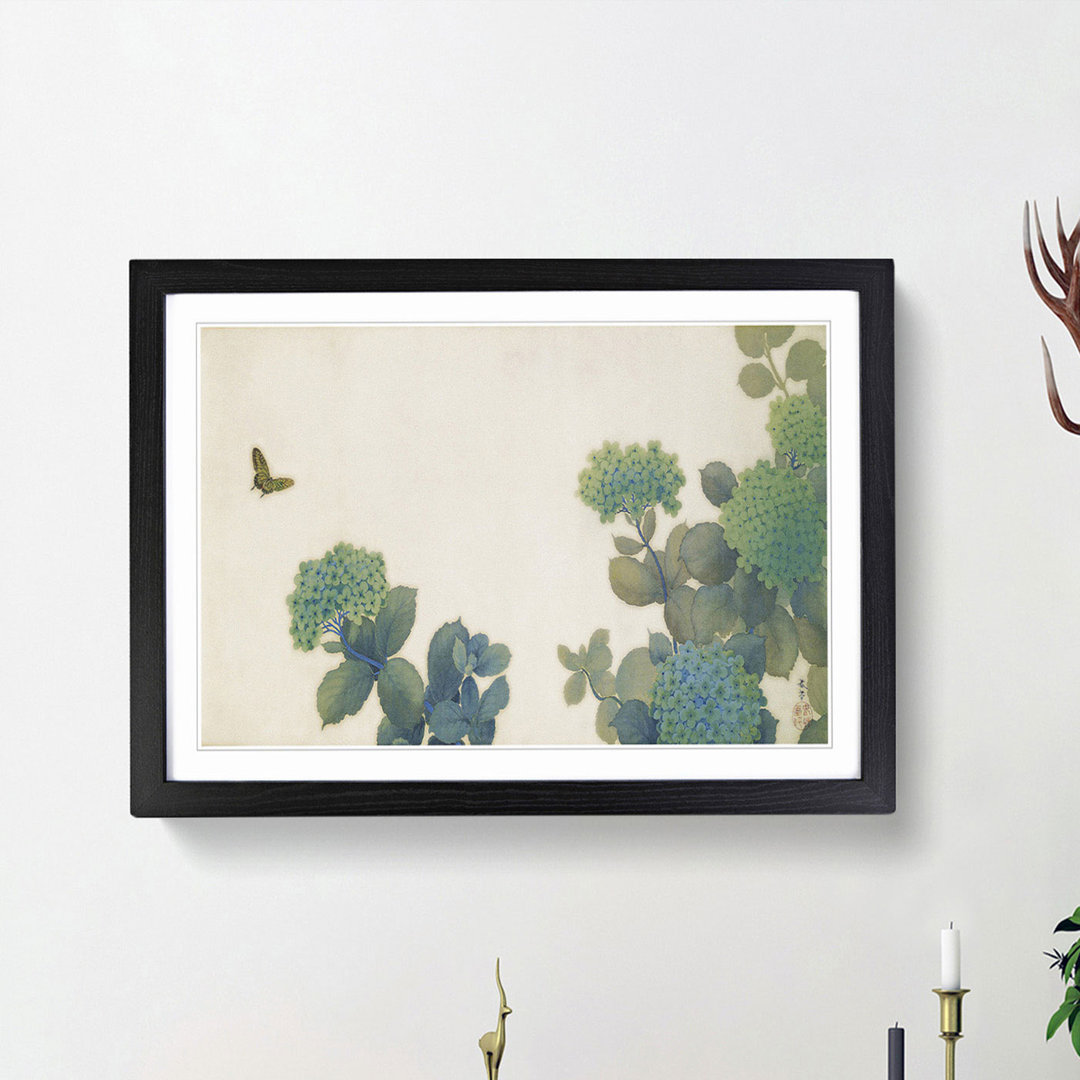 Hydrangeas by Hishida Shunso - Framed Print