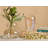 Aura - Vase - Clear, Luster