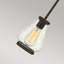 Isaurus 1 - Light Jar Pendant-16292032