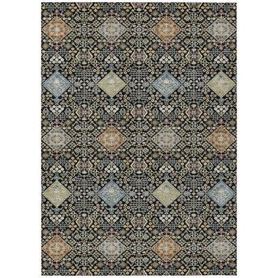 Machine Washable Indoor/Outdoor Chantille ACN2440 Traditional Rug