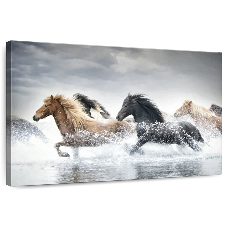 Brampt Horse Run III, H 30 po x l 45 po