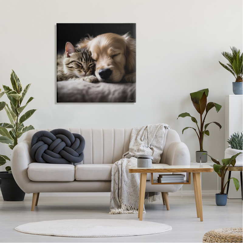 «Ebern Designs Cat and Dog», photographie sur toile par Roozbeh, H 30 po x l 30 po x P 1,5 po