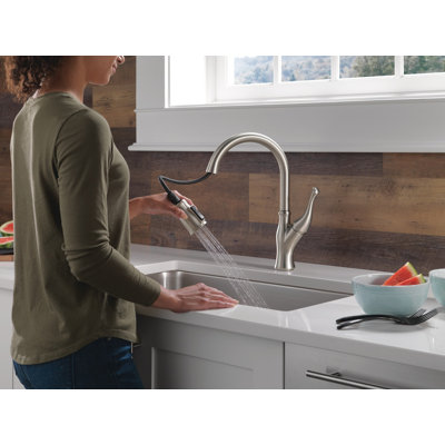 Ophelia Brushed Nickel Kitchen Faucet with Pull Down Sprayer, Modern Single Hole Kitchen Sink Faucet, Single Handle, SpotShield Stainless
