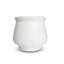 Ceramic Pot Planter