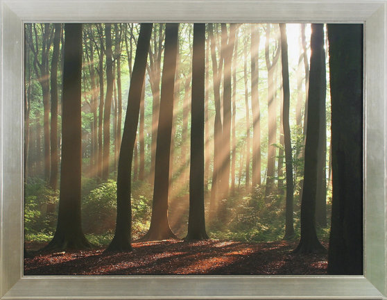 Shining Through Print