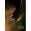 Les Tortues Ninja-107115777