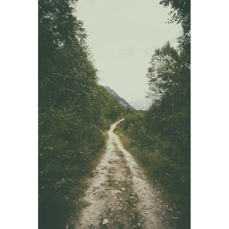 Le chemin que nous avons suivi, H 18 po x l 12 po, Non, Toile tendue