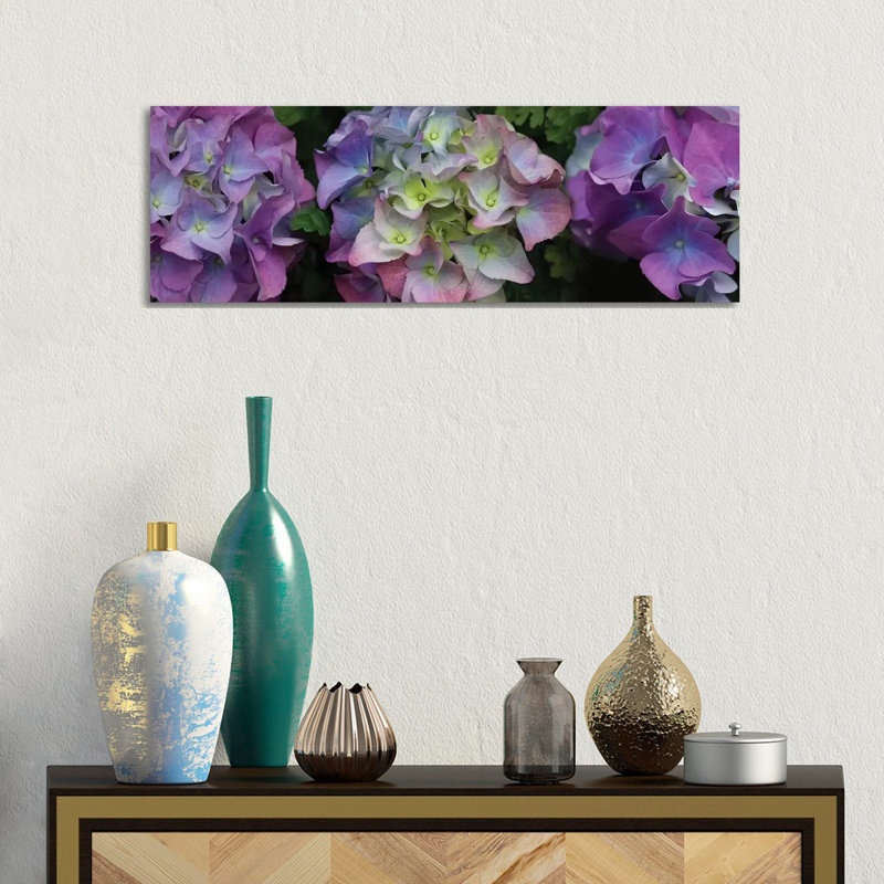 Close-up Of Hydrangea Flowers II by Panoramic Images - Wrapped Canvas Panoramic Gallery-Wrapped Canvas Giclée