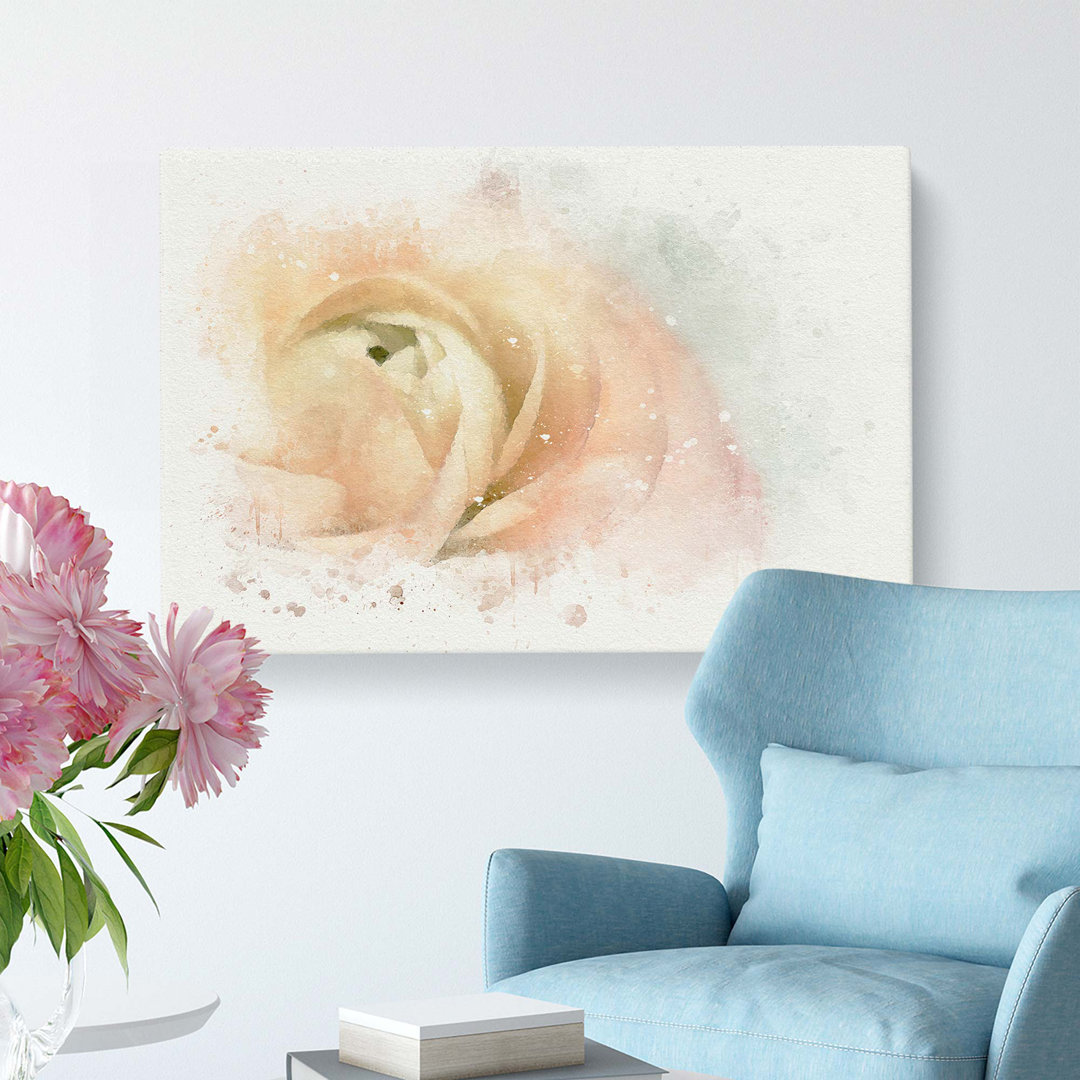 Pink Ranunculus Flower in Abstract