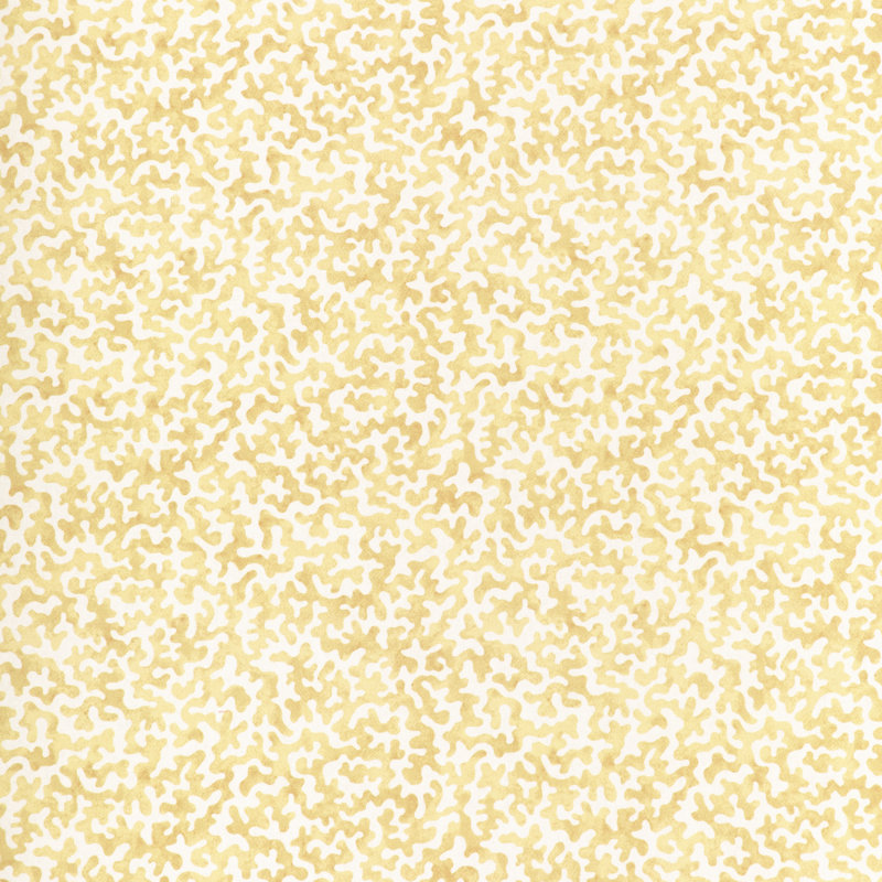 Coralcoast, Cornsilk