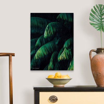 Feuilles de palmier-reproduction de photo sur toile