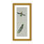 Nature Inspired "Vivid Flutter" Canvas Wall Art By -417407279-417407315-423896714