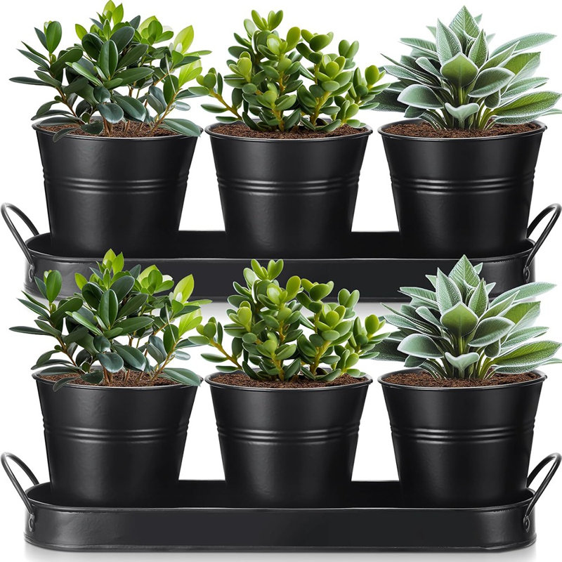 Ensemble de 2 pots à fleurs avec plateau en métal