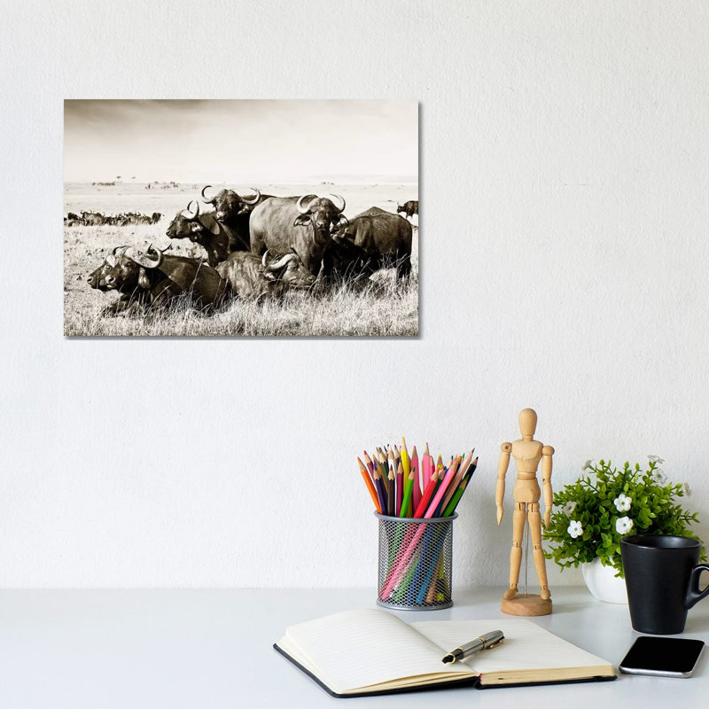 Allied Buffaloes 1 Piece Wall Art on Canvas, 20.32 cm H x 30.48 cm W, Wrapped Canvas