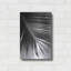 «Palm Frond II» par Debra Van Swearingen-1627799782